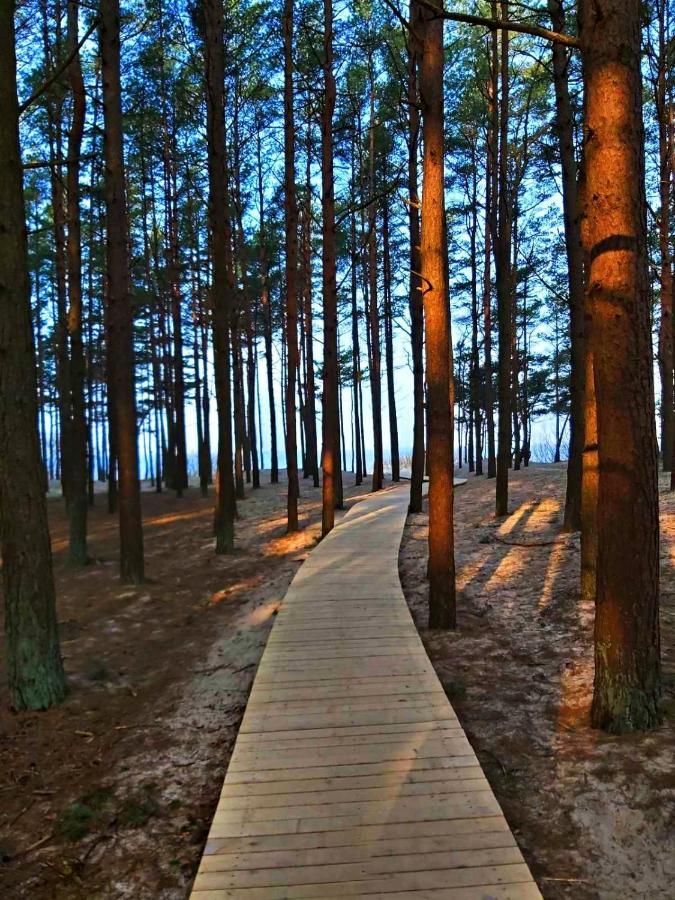 Zalia Kopa Leilighet Palanga Eksteriør bilde